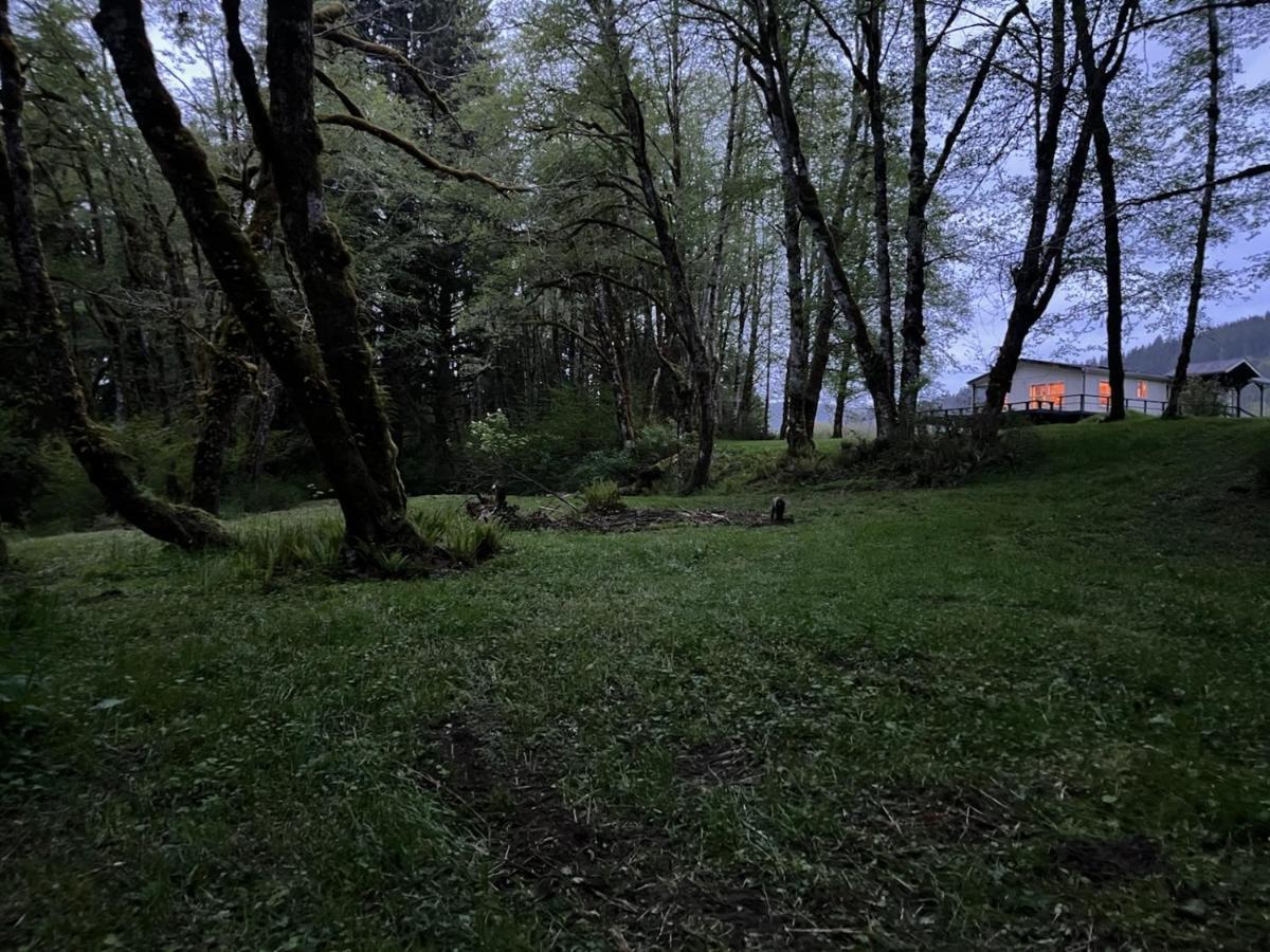 A Relaxing Getaway-A Backwoods Cabin Solduc River Beaver Exterior foto